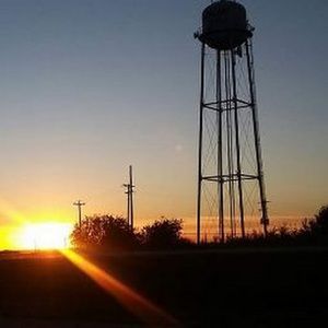 Meet your Posher, Dalia